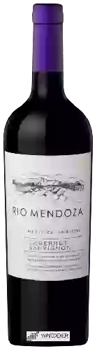 Winery Rio Mendoza