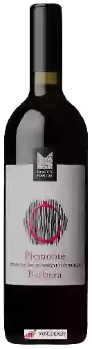 Winery Rocca Bastia