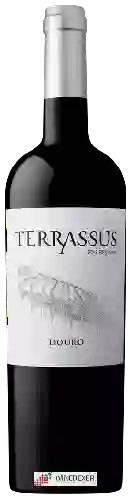 Winery Rui Reguinga - Terrassus