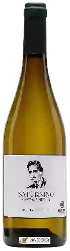 Winery Saturnino - Verdejo