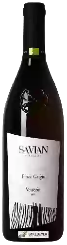 Winery Savian - Pinot Grigio