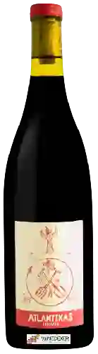 Winery Scions of Sinai Winery Scions of Sinai