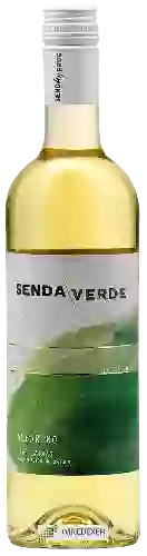 Winery Senda Verde - Albariño