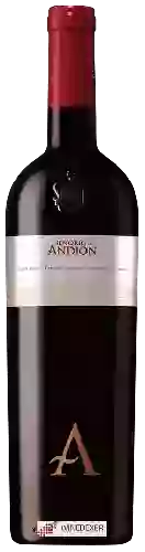 Winery Señorío de Andión - Tinto