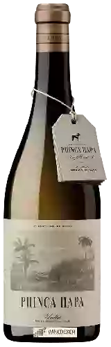 Winery Struggling - Phinca Hapa Blanco