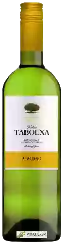 Winery Viña Taboexa