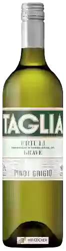 Winery Taglia