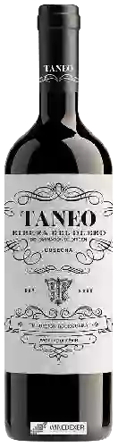 Winery Taneo