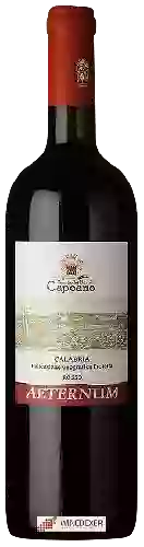 Winery Tenuta dei Baroni Capoano - Aeternum Calabria Rosso