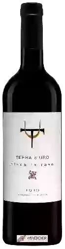 Winery Terra d'Uro - Finca La Rana