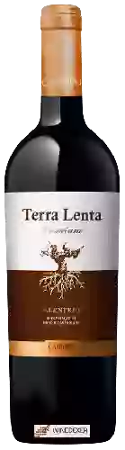 Winery Terra Lenta