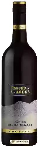 Winery Tesoro de los Andes