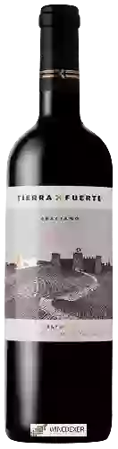 Winery Tierra Fuerte - Graciano