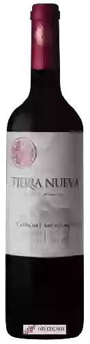 Winery Tierra Nueva