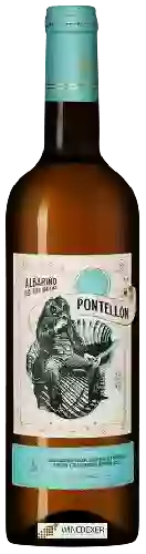 Winery Tollodouro - Pontell&oacuten Albari&ntildeo