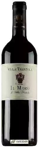 Winery Villa Trentola