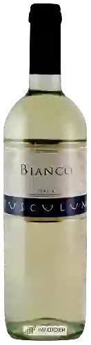 Winery Tusculum - Bianco