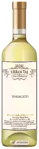 Winery Urban Taj - Pinoscato