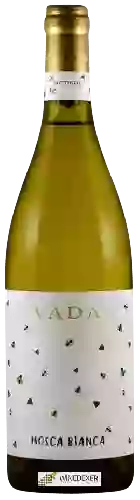 Winery Vada - Mosca Bianca