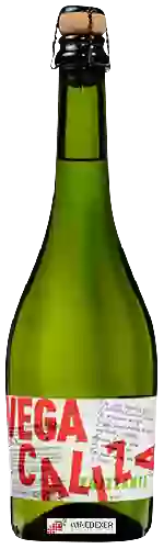 Winery Vega Caliza - Frizzante
