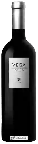 Winery Vega