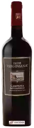 Winery Vigne Verginianae