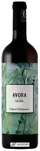 Winery Vigneti Vallorani - Avora