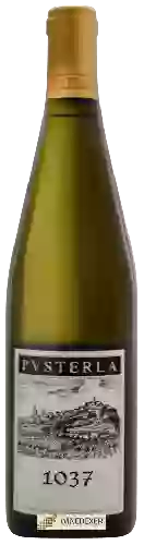 Winery Vigneto Pvsterla - 1037 Bianco