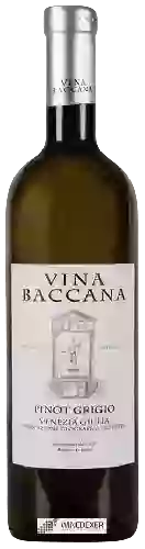 Winery Vina Baccana