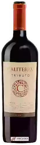 Winery Caliterra - Tributo Carmén&egravere