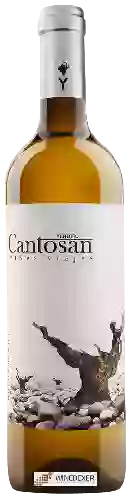 Winery Viña Cantosán