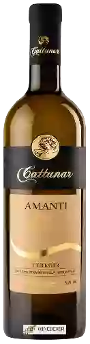 Winery Vina Cattunar - Amanti