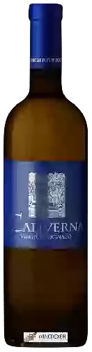 Winery Virgilio Vignato - Caliverna